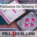 Ginseng Power X 32